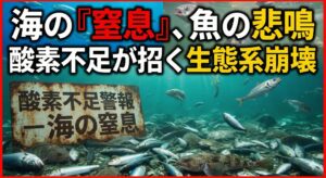 海の酸素不足は、目には見えないけれど、魚の命と私たちの食卓に直結する問題です。釣太郎