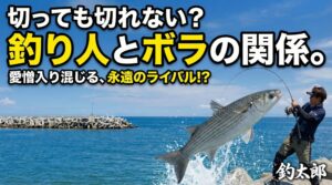 釣り人にとって「切っても切れない永遠のライバル」であり、同時に「親友」のような存在。釣太郎
