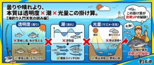 「曇りや晴れより、本質は透明度 × 潮 × 光量この掛け算。」【海釣り入門天気の読み編】釣太郎