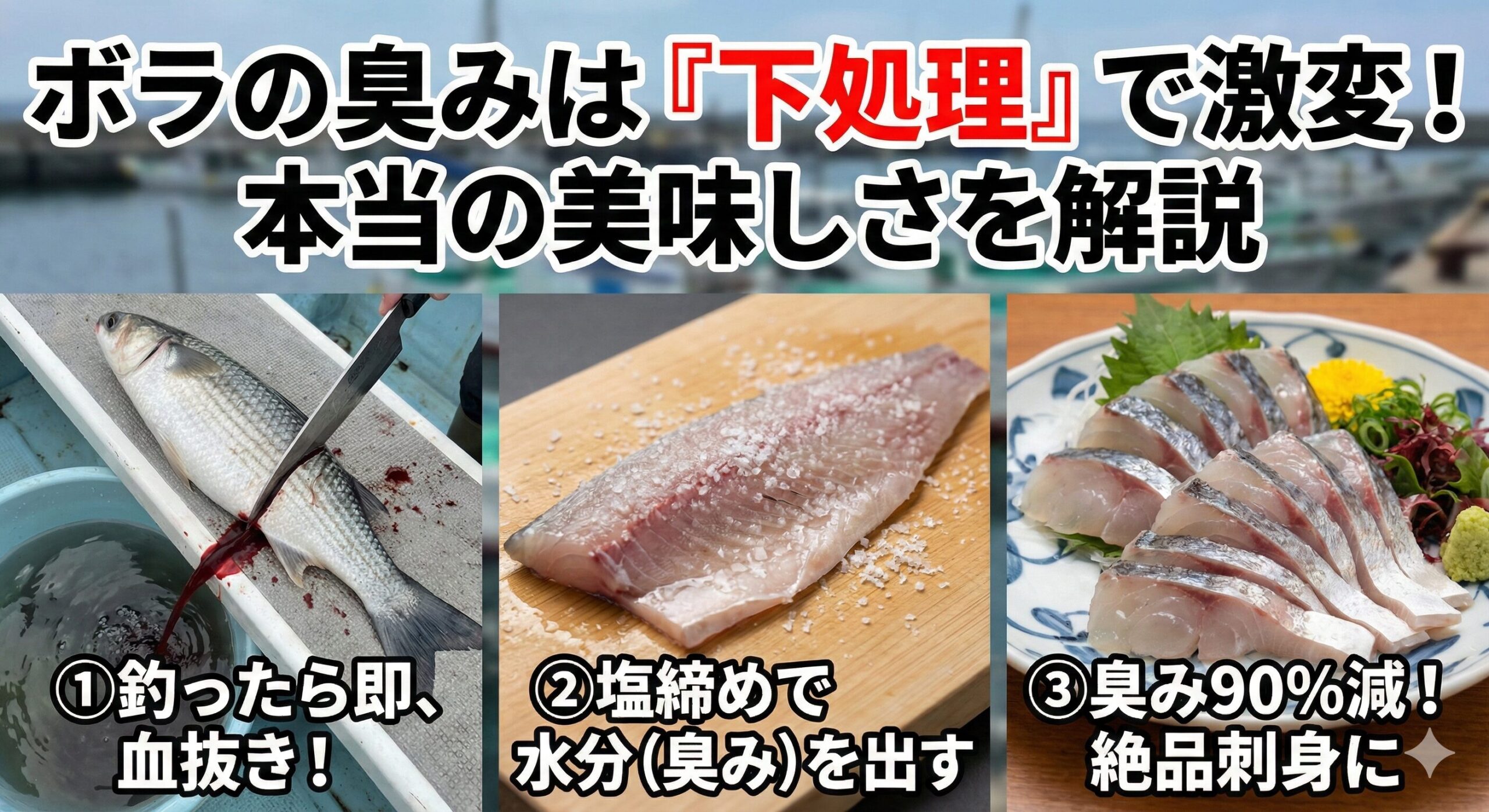 【ボラは臭い？】血抜きと塩締めで激変！その「臭み」は90％消せる。釣太郎