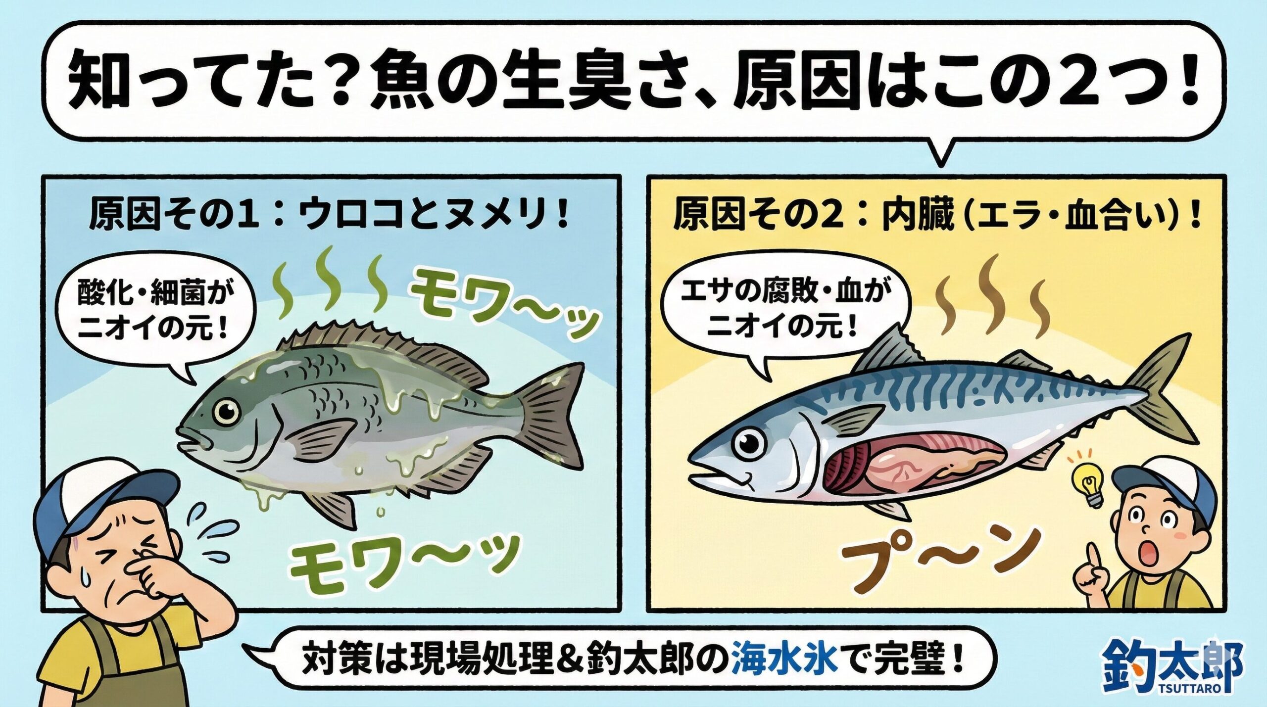 魚の臭いは、外からくる臭い、中からくる臭い 。この二重構造です。釣太郎