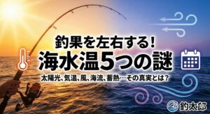 海水温は気温より「蓄熱」と「海流」で決まる。釣太郎