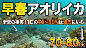 南紀早春のアオリイカは1日の70〜80％前後海底にいる。エギング、ヤエン釣り入門。釣太郎