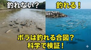ボラがいること自体は「吉」にも「凶」にもなり得ます。重要なのは、彼らの「様子」を観察すること。釣太郎