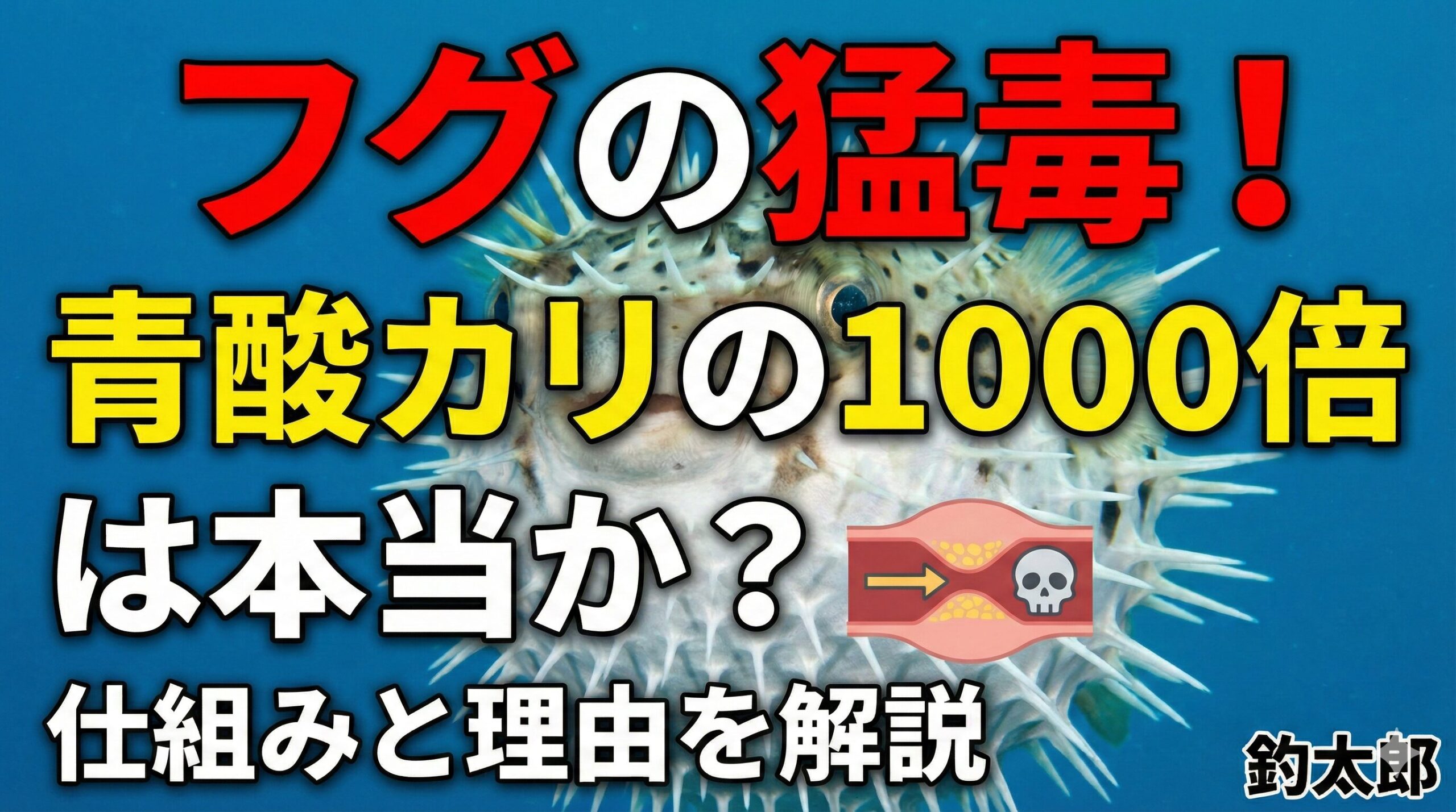 フグの毒が青酸カリの1000倍強いっていうのは紛れもない事実。釣太郎
