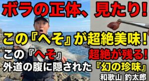 海の珍味。ボラの「へそ」釣太郎
