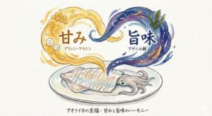 アオリイカの美味しいさは、口に入れた瞬間の、アミノ酸による「強烈な甘み」。噛めば噛むほど溢れ出す、アデニル酸の「深い旨味」。釣太郎