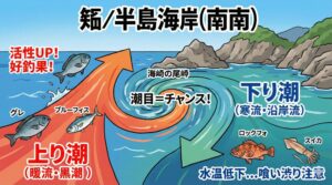 【南紀の磯釣り】上り潮と下り潮で釣果はどう変わる？魚の動きと爆釣の法則を徹底解説.釣太郎