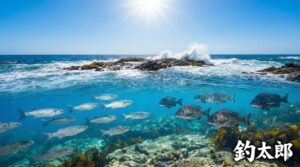 黒鯛（チヌ）ボラは生息地域でにおいが決まる。魚自体には匂いはない。釣太郎