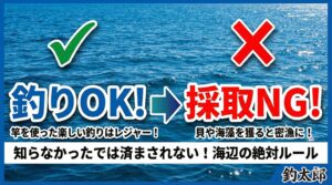 釣り竿で狙う魚と、手や網で獲ってはいけない海の恵みとの違いをしっかりと理解しておくことが大切ですね。釣太郎