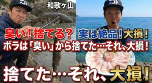 「ボラ＝臭い」というのは、あくまで一部の環境で育った個体の話。綺麗な海で育った「寒ボラ」は、釣り人だけが味わえる特権的な美味。釣太郎