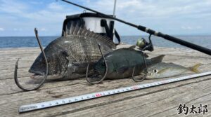 釣果を伸ばす黄金ルールは針と「魚の口」と「エサ」に合わせること。釣太郎