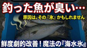 魚の臭いが出やすい原因。生臭さ、磯臭さ、泥臭さ、油臭・カルキ臭。釣太郎
