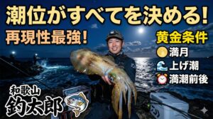 最も爆釣の再現性が高い黄金パターンは「満月×上げ潮×満潮前後」の組み合わせ【アオリイカ釣り基礎知識編】釣太郎