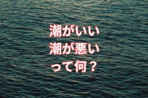 「潮がいい」「潮が悪い」は釣り人の日常会話で最もよく出る。この意味は？単位釣れるだけ？釣れないだけ？釣太郎が解説します。