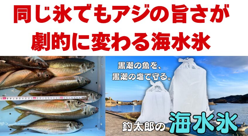 海水氷は「解けても安全」真水氷→ 水が溜まり魚が浸かる。海水氷→ 海と同じ環境。つまり魚はストレス状態にならない。釣太郎
