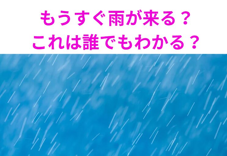もうすぐ雨が降る。これは誰でもわかる？海辺にいるからわかるだけ？それともただの職業病？釣太郎