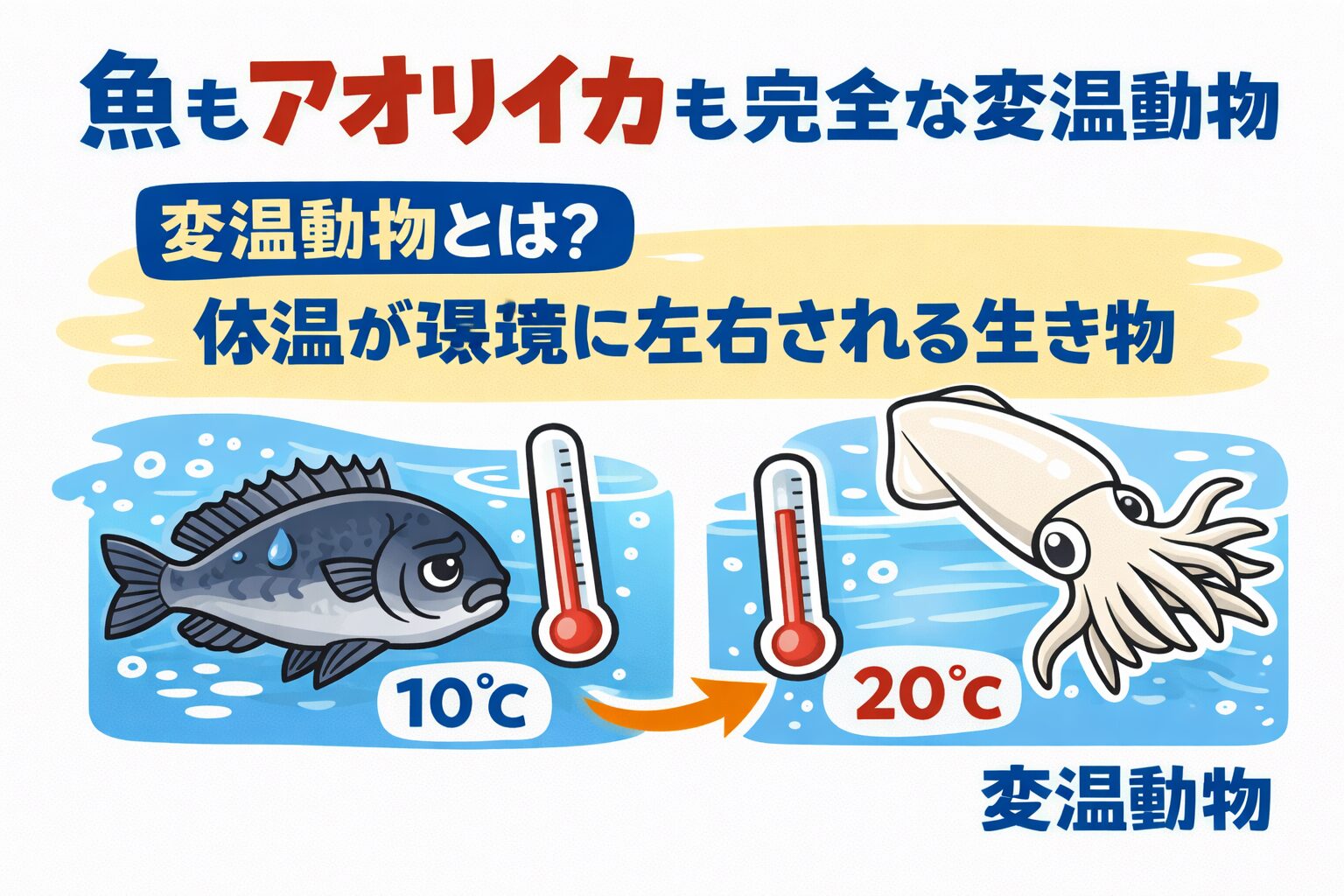 魚もアオリイカも、ほぼ全てが変温動物です。自分の体温をコントロールできないからこそ、水温の変化にものすごく敏感に反応します。釣太郎