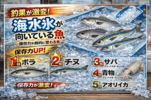 海水氷は魚の細胞を守る ・水に弱い魚ほど効果大 ・1位ボラは劇的差・サバ・青物は味が変わる ・アオリイカは品質維持に必須。釣太郎