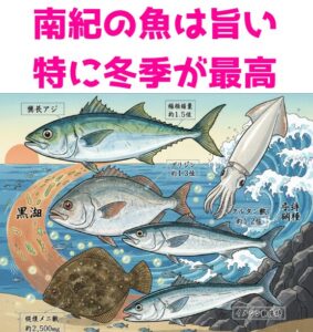 南紀の海は、釣り人やグルメの間で「別格」と称されます。特に冬、寒尺アジ、寒グレ、アオリイカに加え、荒磯の王者ヒラスズキや砂地の女王ヒラメが一段と輝きを増す。釣太郎