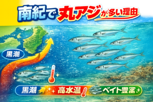 南紀で丸アジが多い理由は環境の為・黒潮接岸 ・潮通しが良い地形・ベイト豊富・高水温・回遊魚優勢の海。南紀は「丸アジが増える条件が全部そろっている海」。釣太郎
