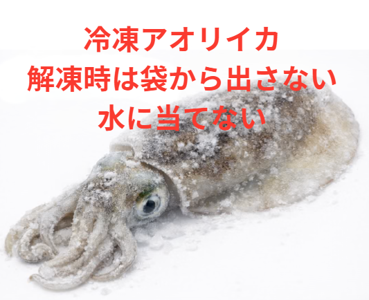 冷凍アオリイカの敵は真。解凍時は袋から出さない（水に当てない）。洗うのは食べる直前、一瞬だけ。釣太郎