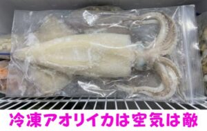 冷凍アオリイカ。空気＝冷凍焼け・酸化で旨味消失・結晶巨大化で水っぽい・袋パンパンは全部NG・空気ゼロが正解。釣太郎