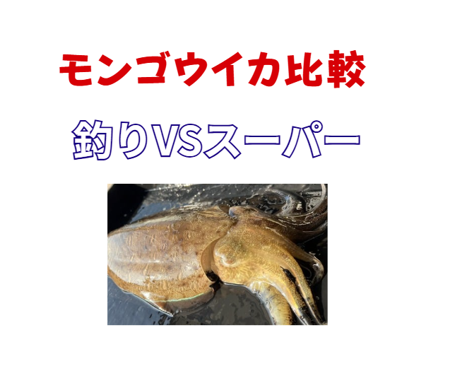 釣りモンゴウイカは外道には程遠く、店ではほぼ食べられない味。釣太郎