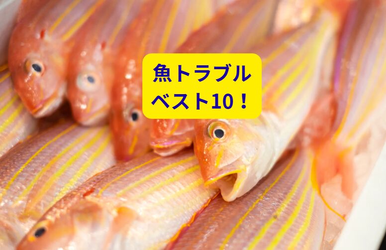 【共感必至】魚好き日本人が直面する「魚のトラブル」ベスト10！美味しいけれどここが辛い。釣太郎
