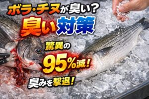 ボラ・チヌが臭い理由は魚種ではなく・環境 ・血・内臓・処理方法 。臭いは・血抜き → 約40％減・海水氷 → 約40％減・塩締め → 約20％減。合計80〜95％軽減可能。釣太郎
