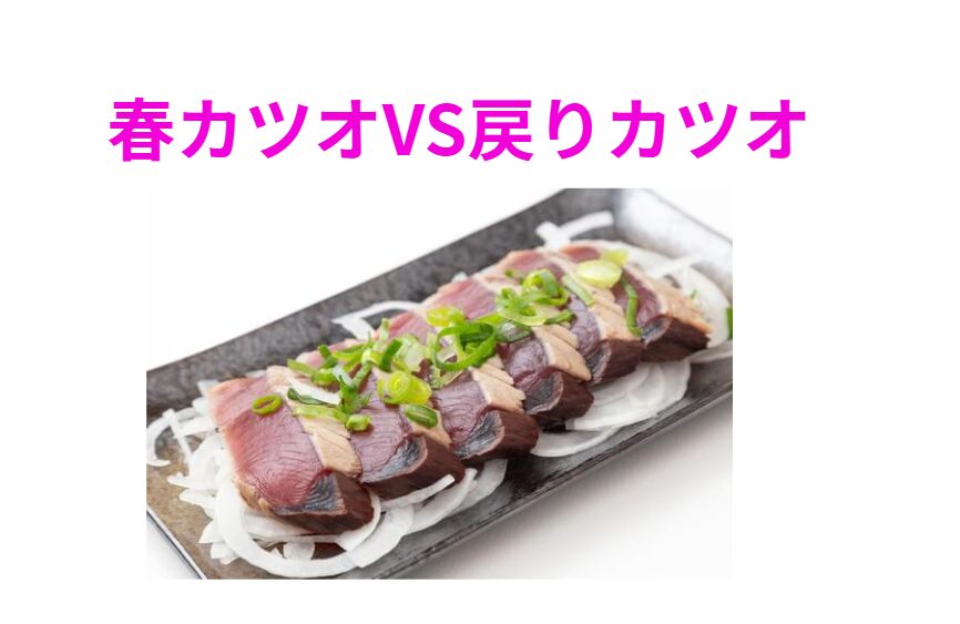 春ガツオと戻りガツオは、同じ魚とは思えないほど違う。春：さっぱり爽やか。秋：濃厚で脂の旨味。釣太郎