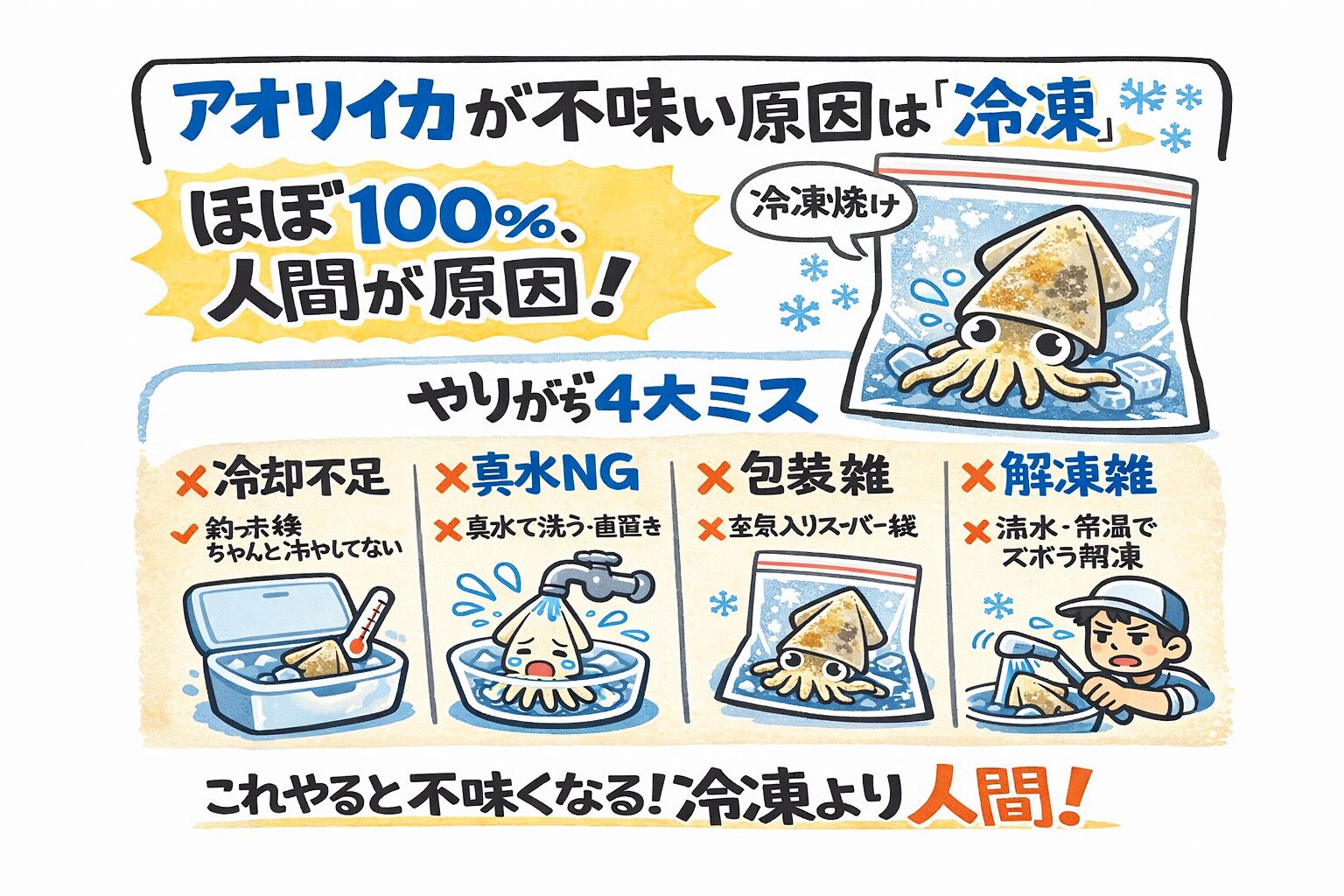 冷凍アオリイカがまずいのは、冷凍が悪いわけではない・処理と解凍が9割・真水と空気は天敵・冷蔵庫解凍が正解。釣太郎
