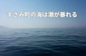 すさみは「潮が暴れる」からこそ、釣りが面白い南紀すさみは一言で「潮が暴れるエリア」。釣太郎