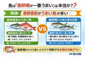 「魚は産卵期が一番うまい」は半分本当。 半分間違い。正しくは 産卵直前が一番うまい魚が多い。釣太郎