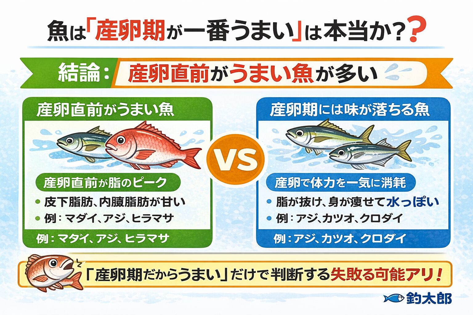 「魚は産卵期が一番うまい」は半分本当。 半分間違い。正しくは 産卵直前が一番うまい魚が多い。釣太郎