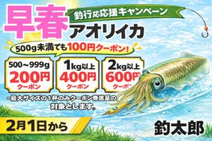 早春はアオリイカ大型シーズンの入口。・釣るほどお得・大型チャンス増加・南紀の好条件。釣行の楽しみが一つ増えます。釣太郎