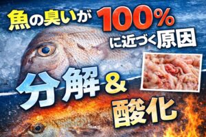 魚の臭いは偶然ではありません。表面、内臓、血 脂。この4つの分解と酸化が重なると臭いは100％に近づきます。釣太郎