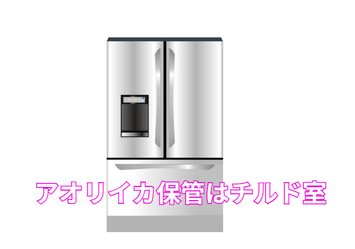 アオリイカ冷蔵庫保管はチルド室がベスト。釣太郎