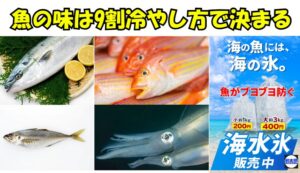 【釣り人が知らない事実】魚の美味しさの9割は冷やし方で決まる。釣太郎