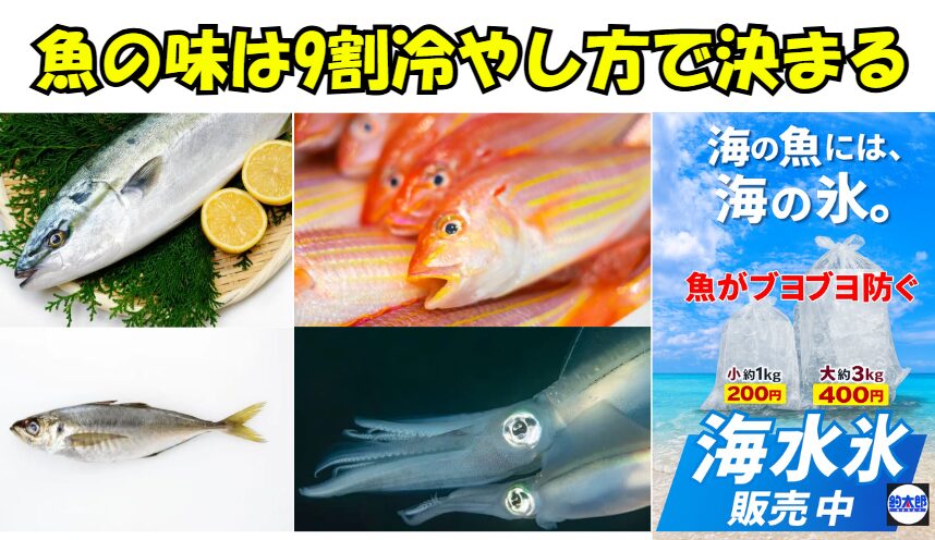 【釣り人が知らない事実】魚の美味しさの9割は冷やし方で決まる。釣太郎