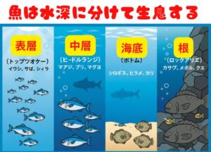 魚にはそれぞれ、得意とする生活圏（レンジ）があり、大きく分けると「表層」「中層」「海底」「根」の4つに分類されます。釣太郎