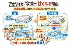 アオリイカ、冷凍で筋繊維が壊れる・内部の甘味成分が出る・生より旨くなる・正しい処理が前提・解凍ミスは致命的。釣太郎