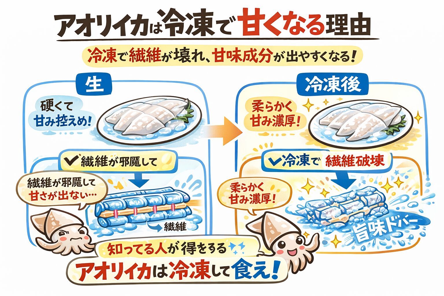 アオリイカ、冷凍で筋繊維が壊れる・内部の甘味成分が出る・生より旨くなる・正しい処理が前提・解凍ミスは致命的。釣太郎