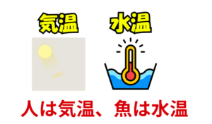 人間が暦や気温で季節を感じるのに対し、魚は水温の変化で命のサイクルを回しています。釣太郎