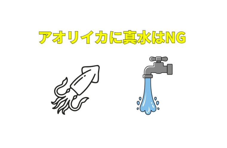 アオリイカ、真水は敵、海水は味方。釣太郎