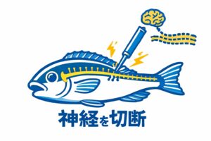 活締めをすると、魚の脳と神経の伝達を遮断し、細胞に「まだ死んでいない」と錯覚させる。結果、死後硬直が始まる時間を大幅に遅らせる。釣太郎