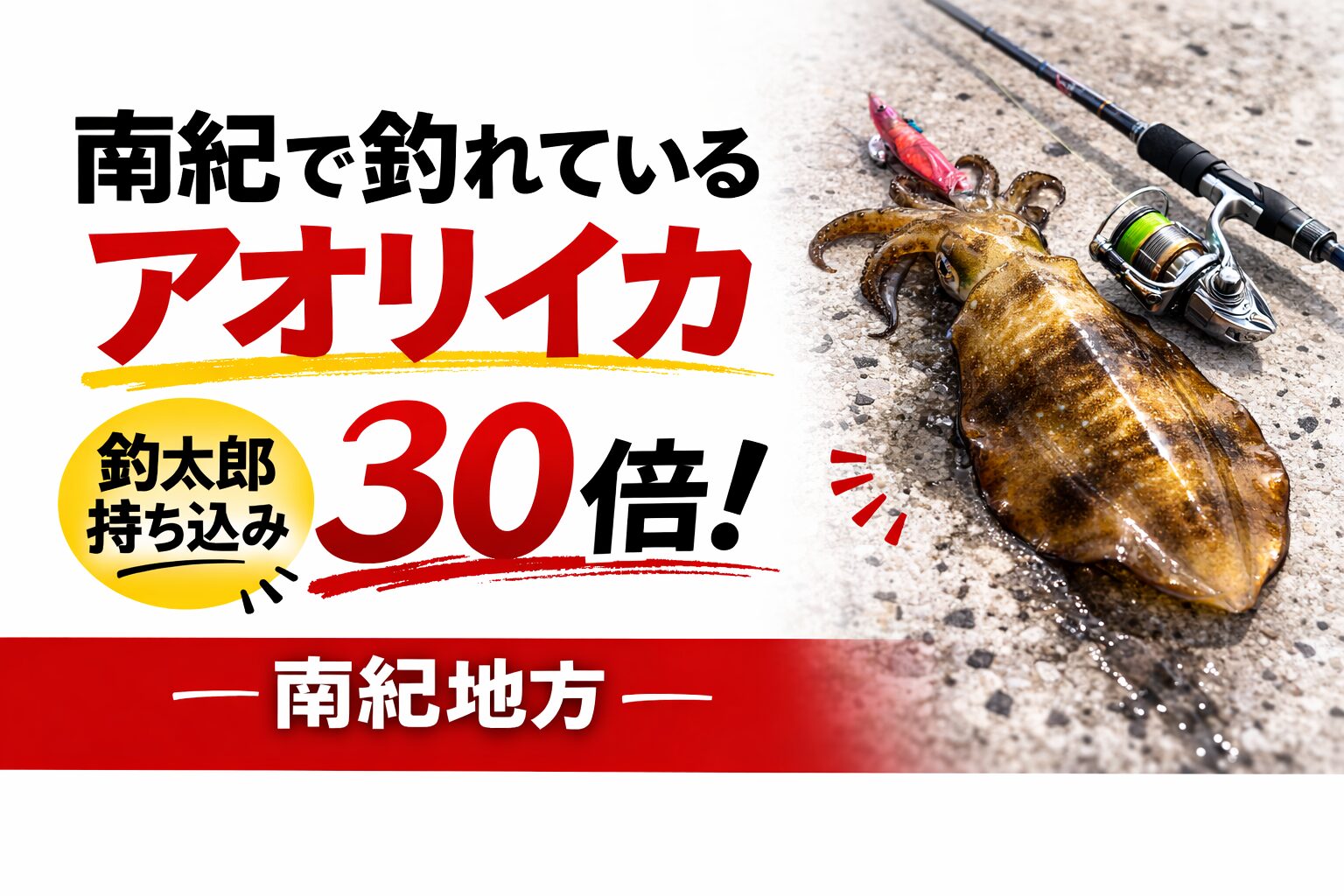 釣太郎に持ち込みされるアオリイカの30倍、南紀地方で釣れている。