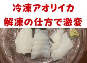 アオリイカ、「生はどれも一緒」かもしれませんが、「冷凍後の刺身」こそが、釣り人の腕と愛着が試される瞬間。釣太郎