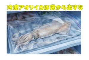 冷凍アオリイカは「袋から出すな」理由を科学で説明します【水っぽさ・旨味流出の正体】釣太郎
