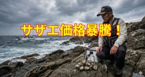 石鯛釣りのサザエ、なぜこれほど高いのか？価格高騰の裏側と対策。釣太郎